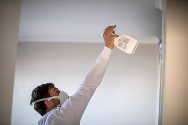 Best Commercial Mold Removal  in New Cassel, NY